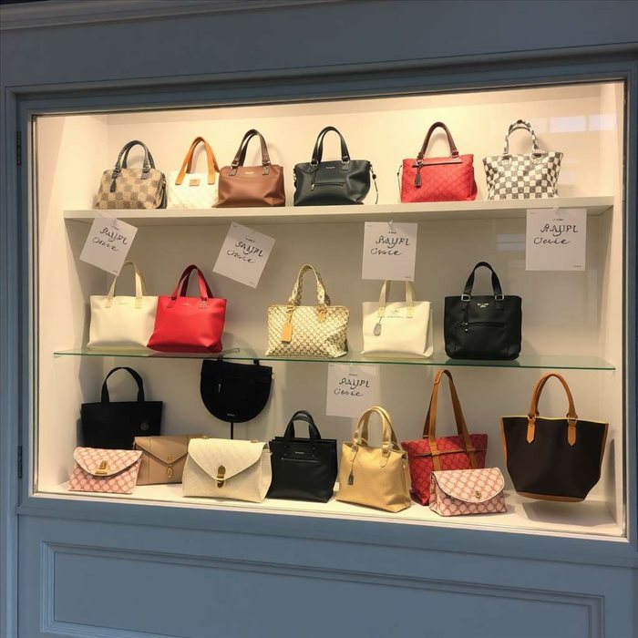 Différents Types de Sacs pour Femme urbaine et élégante